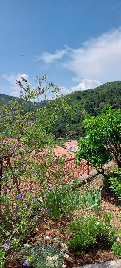 Apartment Park Rabac Εξωτερικό φωτογραφία