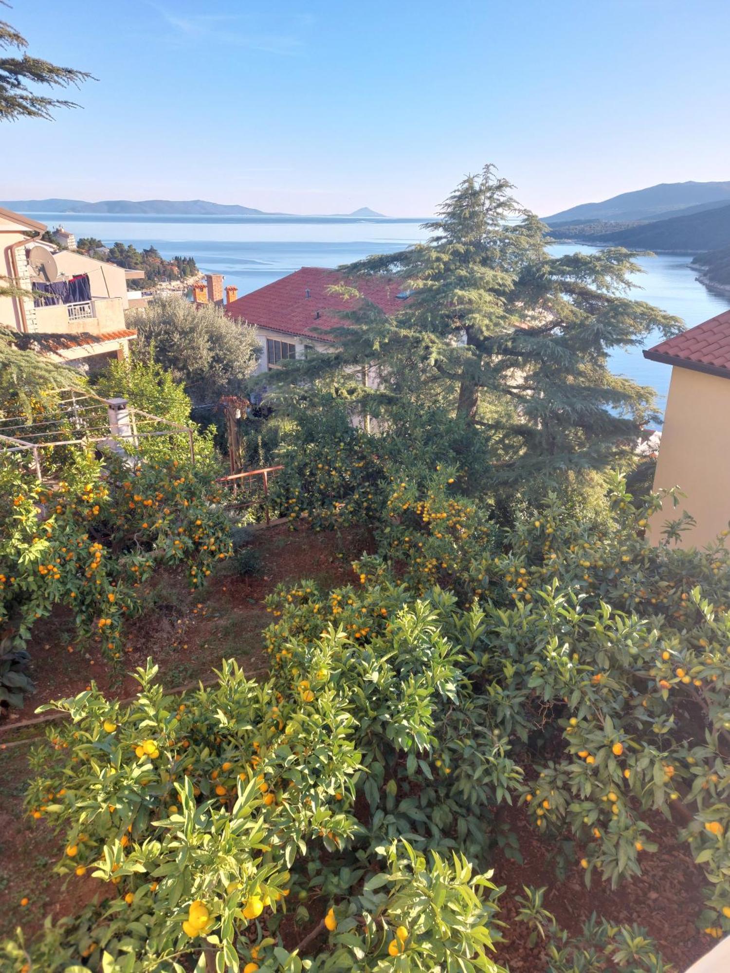 Apartment Park Rabac Εξωτερικό φωτογραφία